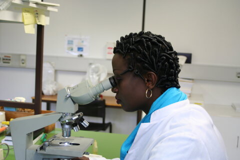 Photo: Anna Wang/MMV